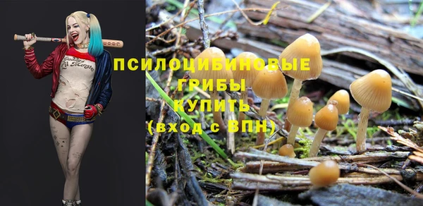 ПСИЛОЦИБИНОВЫЕ ГРИБЫ Заволжск