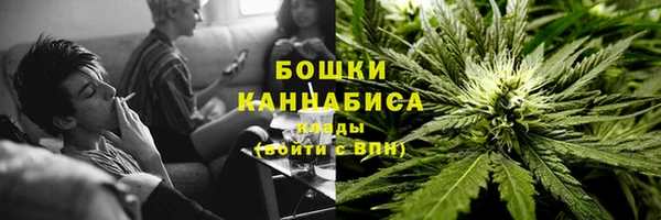 ПСИЛОЦИБИНОВЫЕ ГРИБЫ Заволжск